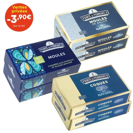 Assortiment de coquillages
