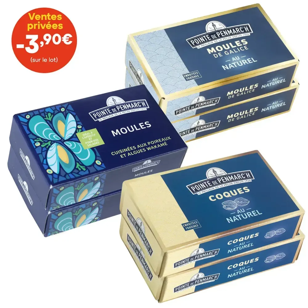 Assortiment de coquillages