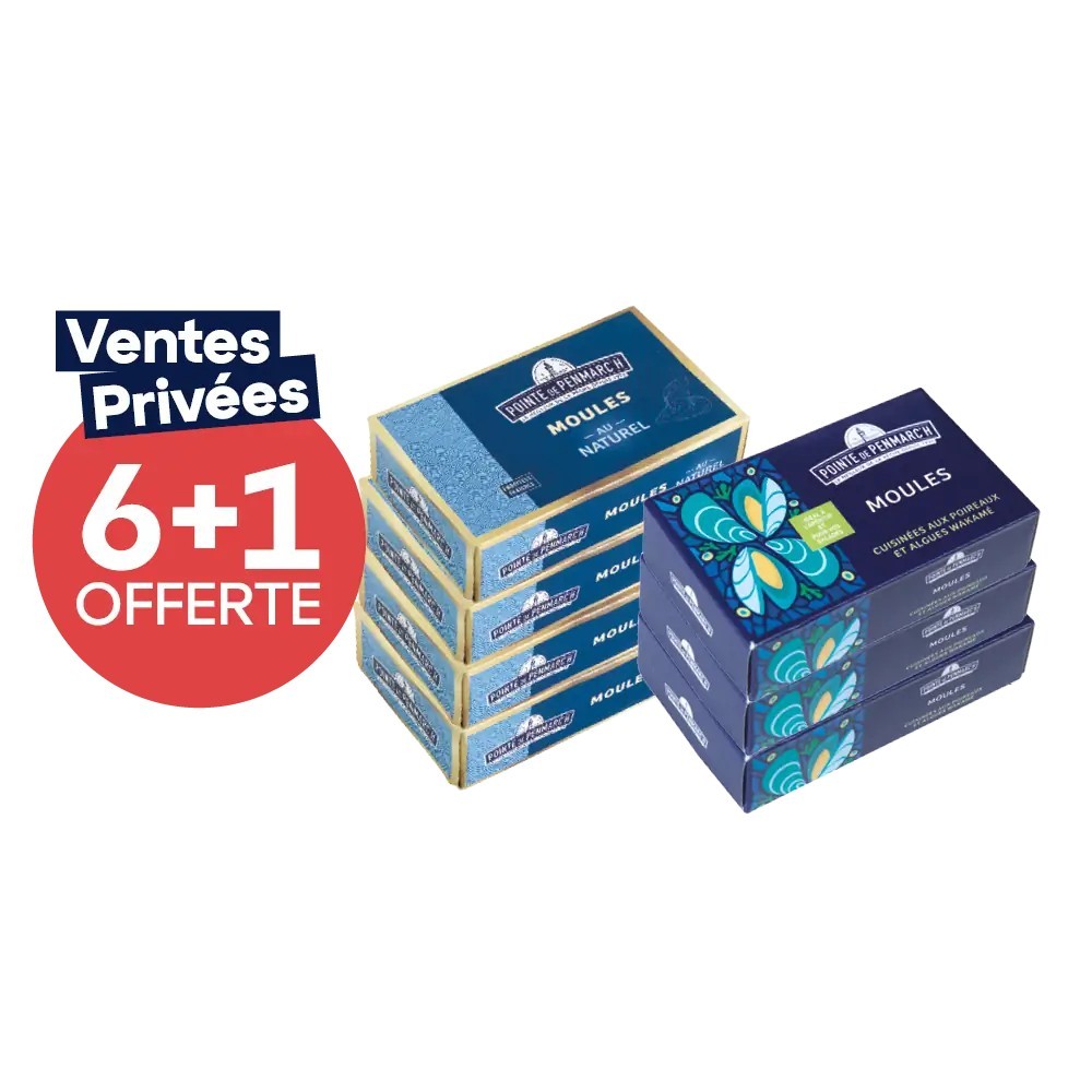 Assortiment de coquillages