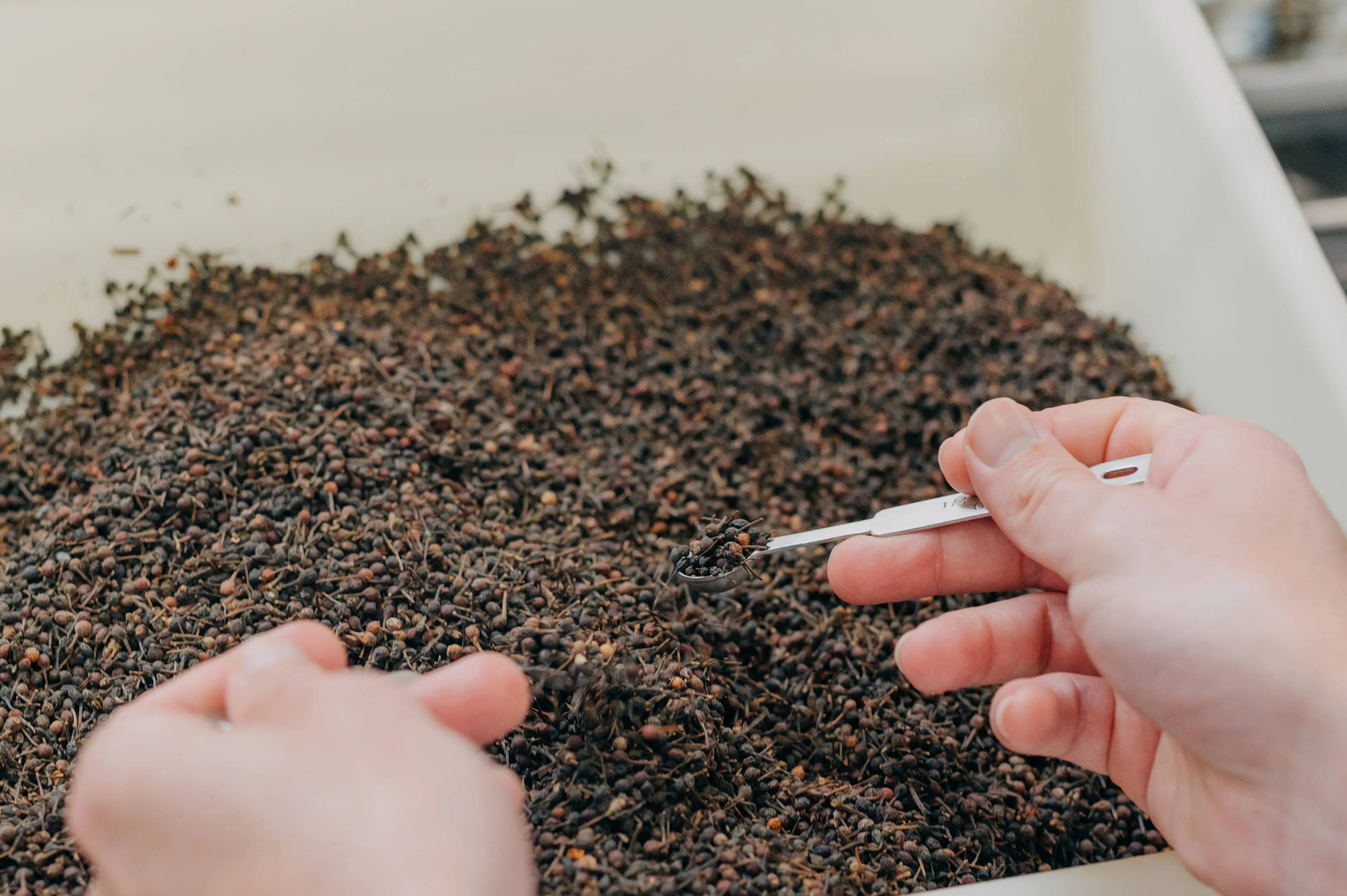 Sélection de poivres pour infuser dans nos recettes