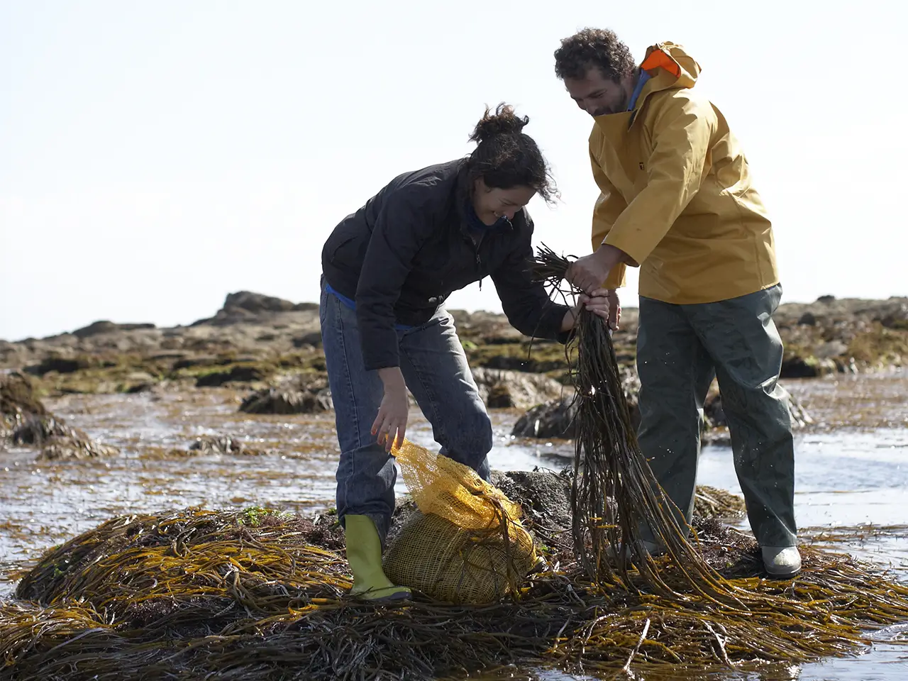 Marinoë et ses produits marins !