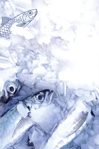 Bienfaits des produits de la mer